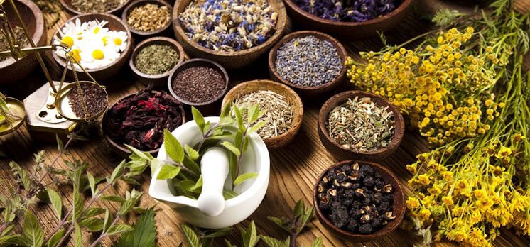Alternative medicine herbs and herbs that improve the condition of patients with prostatitis