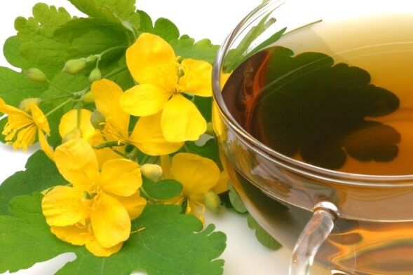 celandine infusion for the treatment of prostatitis